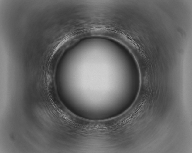 X0000113321400200909141345