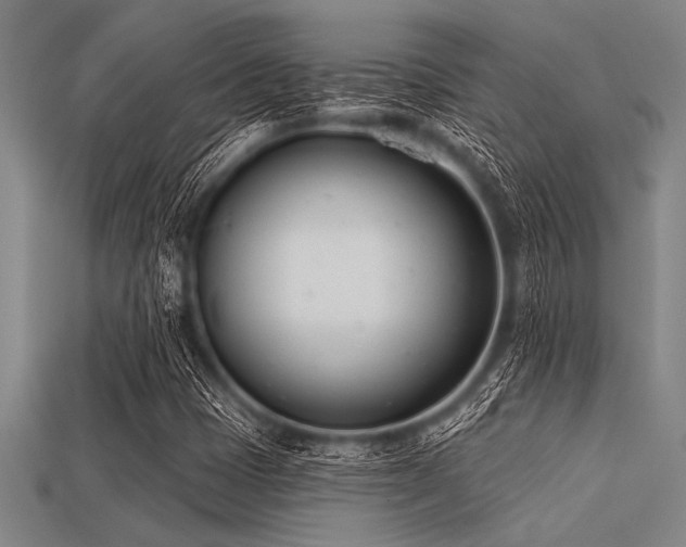 X0000113321401200909141345