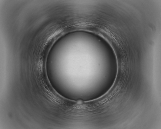 X0000113321402200909141345