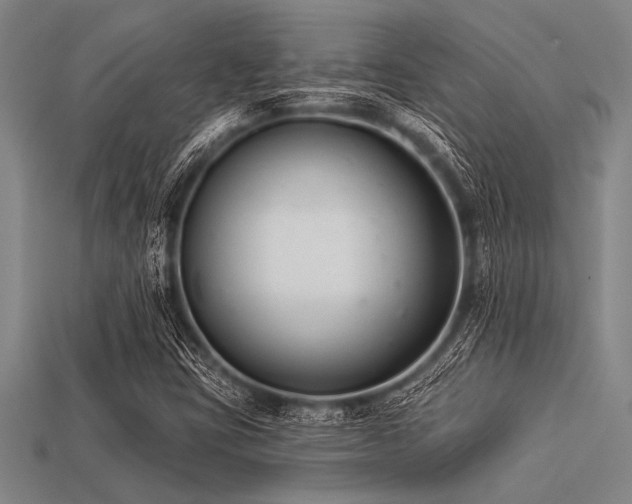 X0000113321403200909141345