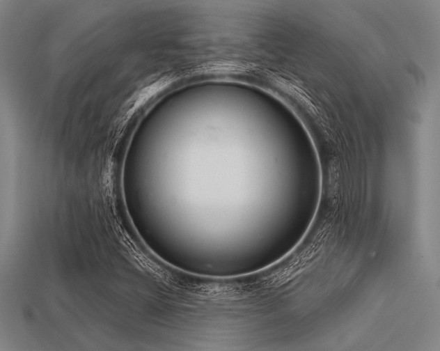 X0000113321404200909141345