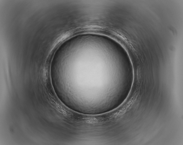 X0000113321405200909141345