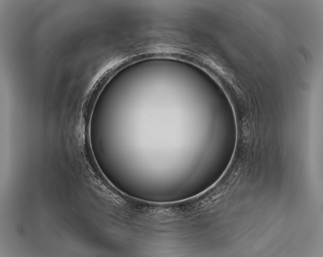 X0000113321408200909141345