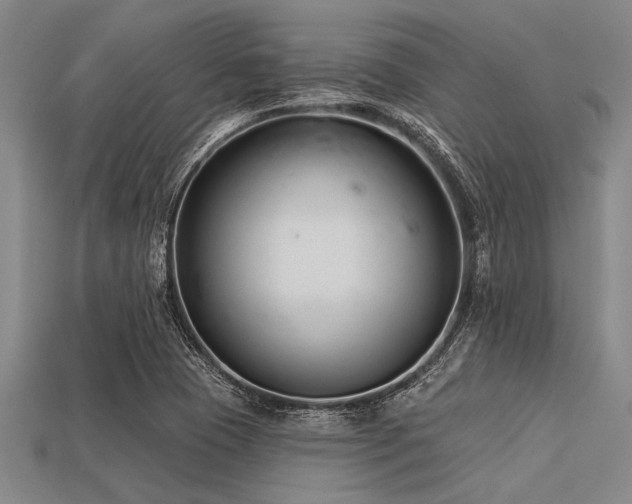 X0000113321409200909141345