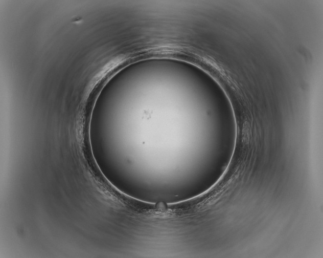 X0000113321410200909141345