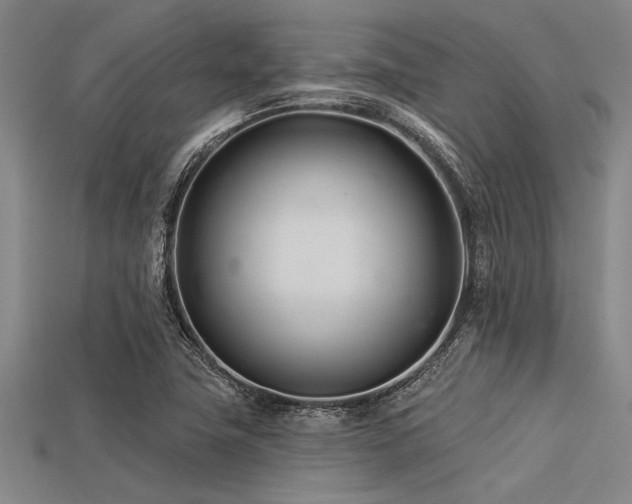 X0000113321411200909141345
