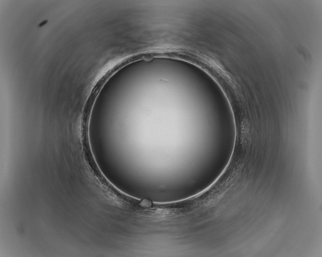 X0000113321412200909141346
