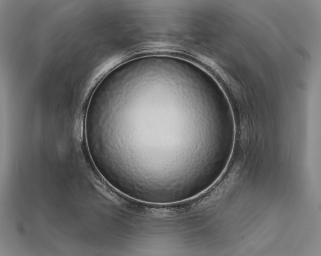 X0000113321413200909141346