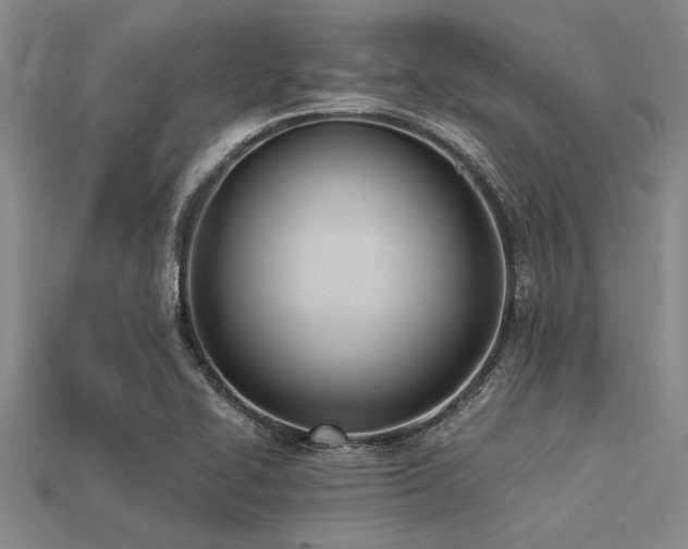 X0000113321414200909141346