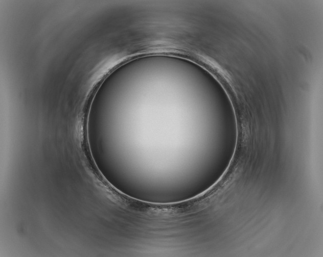 X0000113321415200909141346