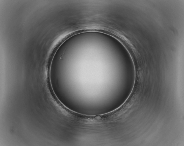 X0000113321416200909141346