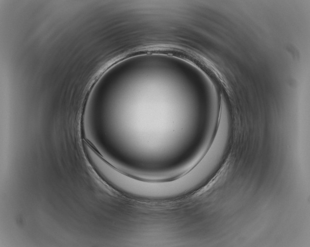 X0000113321417200909141346