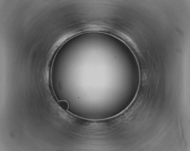 X0000113321419200909141346