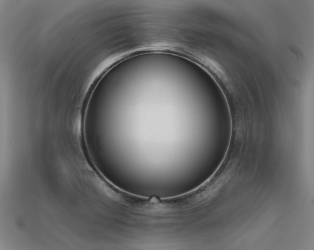X0000113321420200909141346