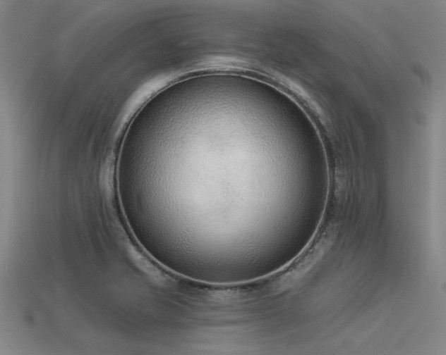 X0000113321421200909141346