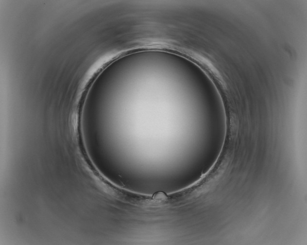 X0000113321424200909141346