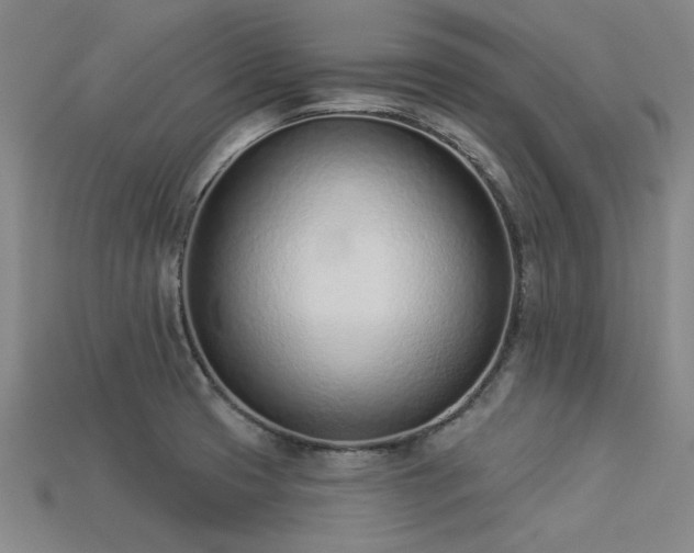 X0000113321425200909141346