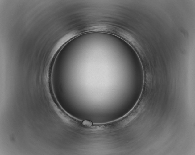 X0000113321426200909141346