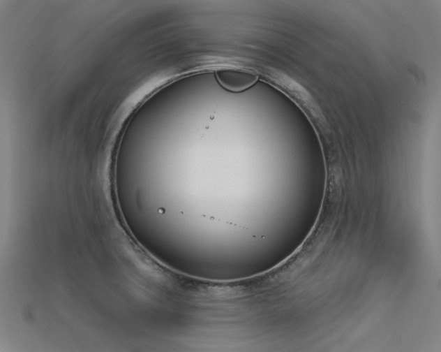X0000113321427200909141346