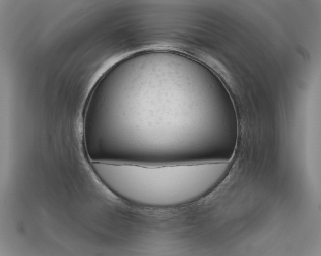 X0000113321428200909141346