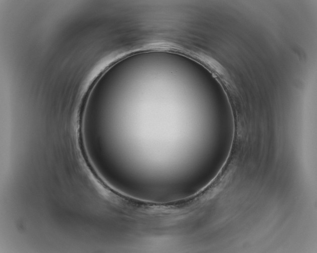 X0000113321430200909141346