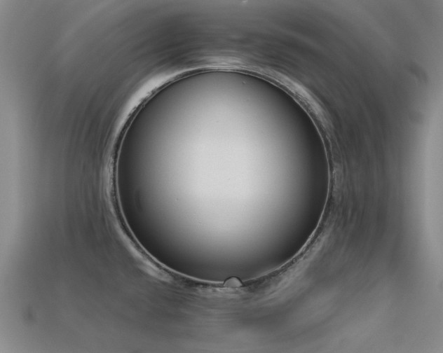 X0000113321432200909141346
