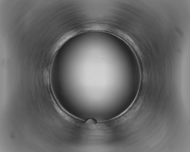 X0000113321433200909141346
