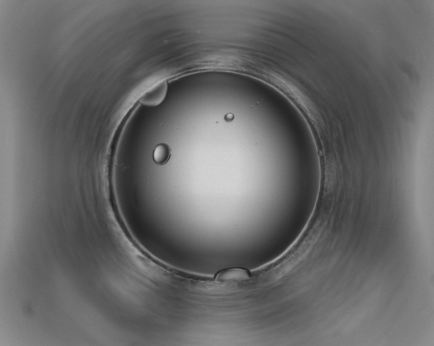 X0000113321434200909141346