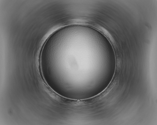 X0000113321435200909141346