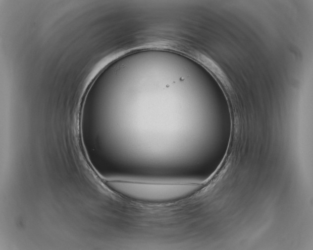 X0000113321436200909141346