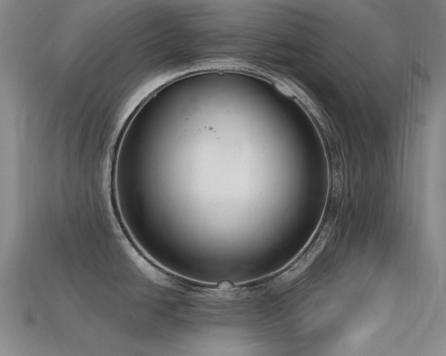 X0000113321438200909141346