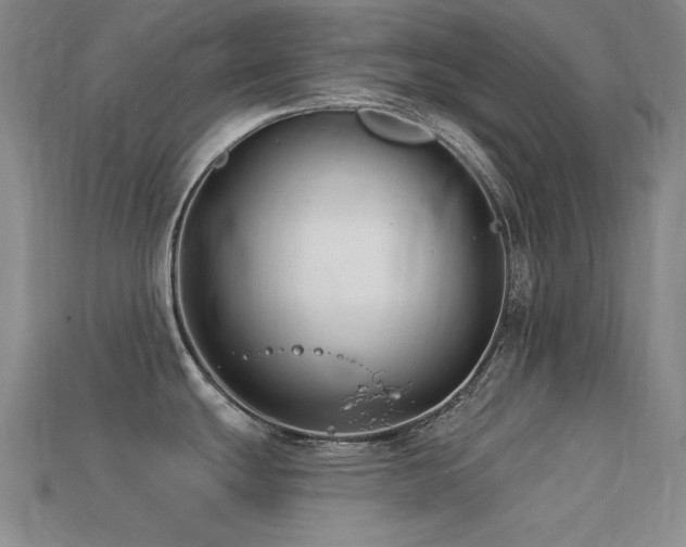 X0000113321439200909141346