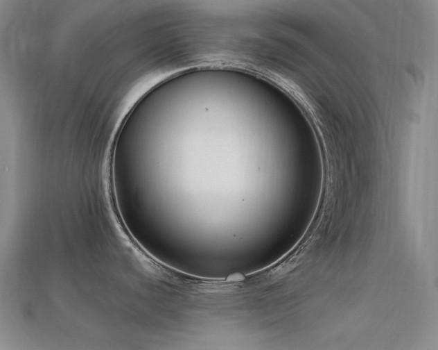 X0000113321440200909141346
