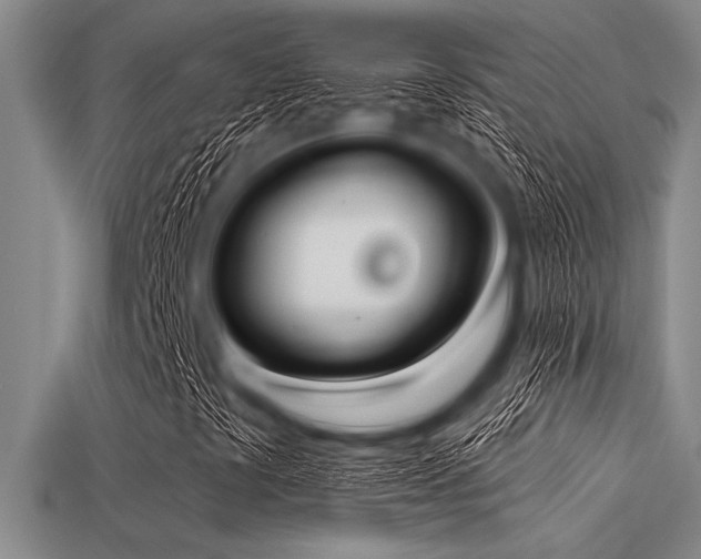 X0000113321441200909141345