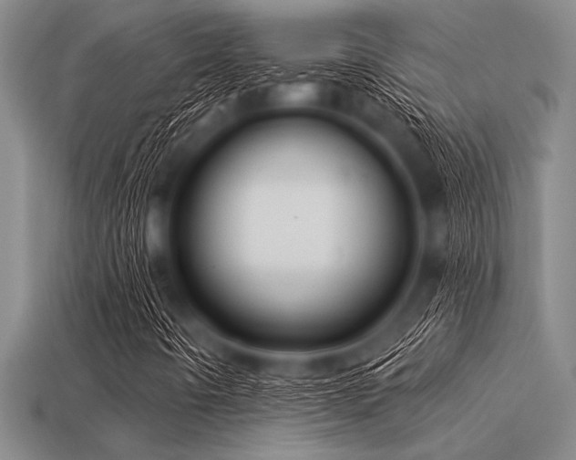 X0000113321442200909141345