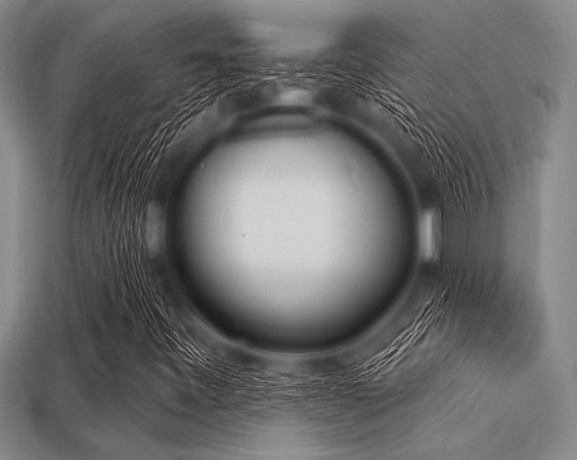 X0000113321443200909141345