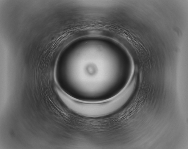 X0000113321444200909141345