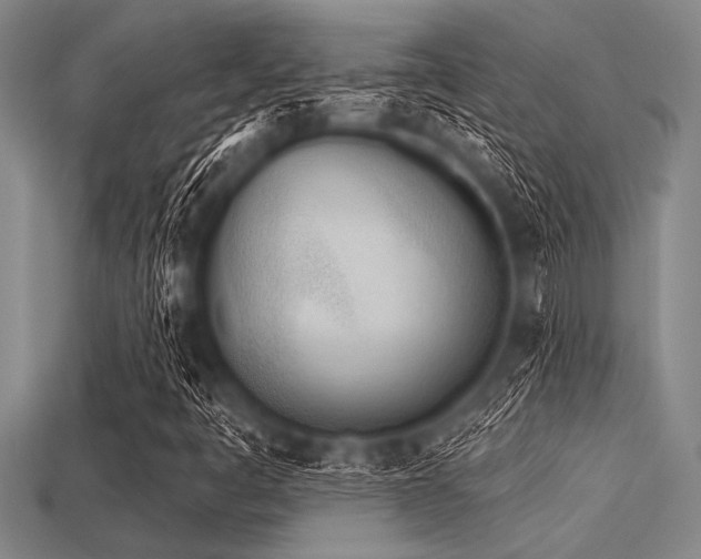 X0000113321445200909141345