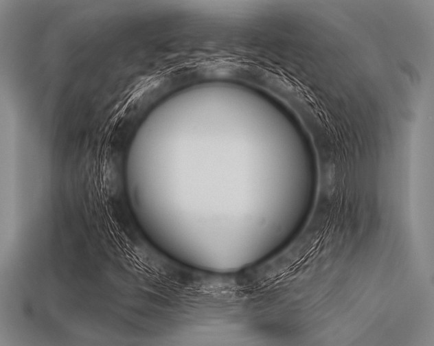 X0000113321446200909141345