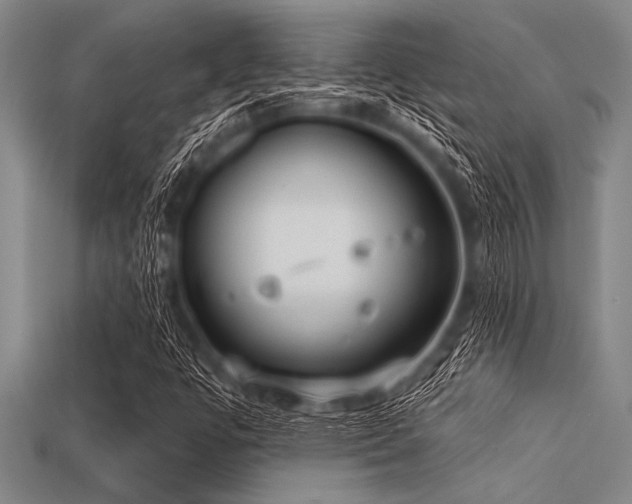 X0000113321447200909141345
