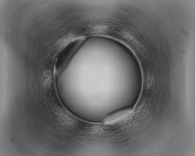 X0000113321449200909141345