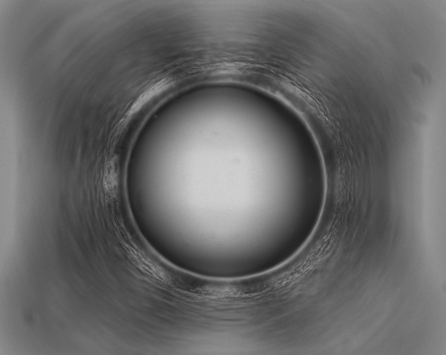 X0000113321450200909141345