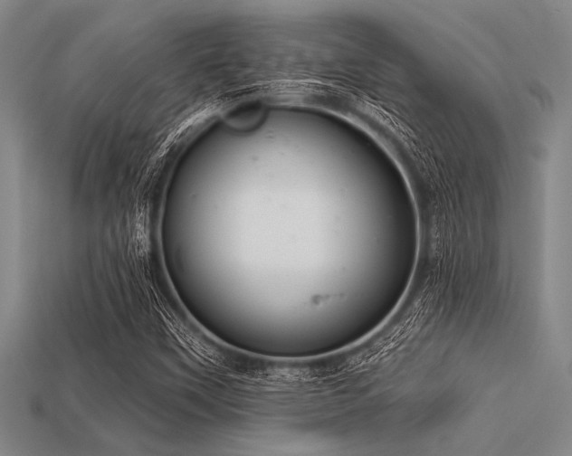 X0000113321451200909141345