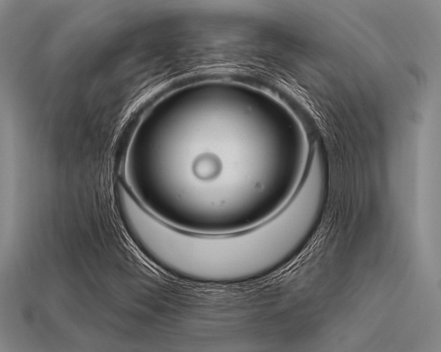 X0000113321452200909141345