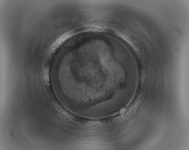 X0000113321455200909141345