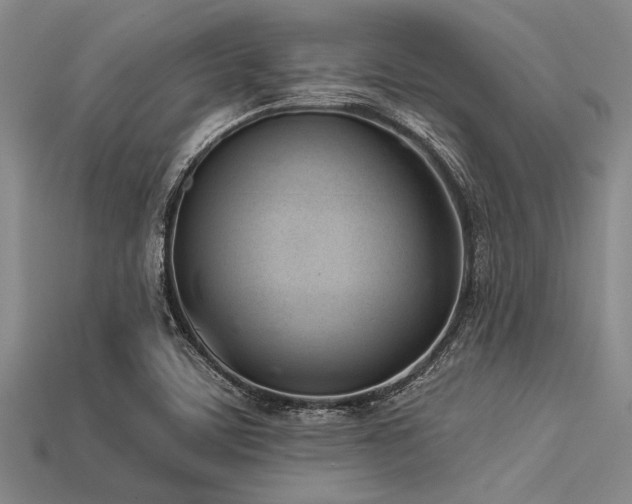 X0000113321459200909141345