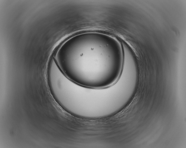 X0000113321460200909141345