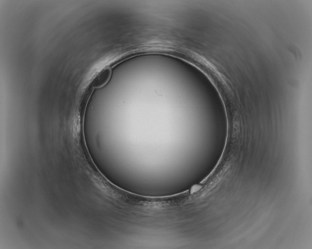 X0000113321461200909141345