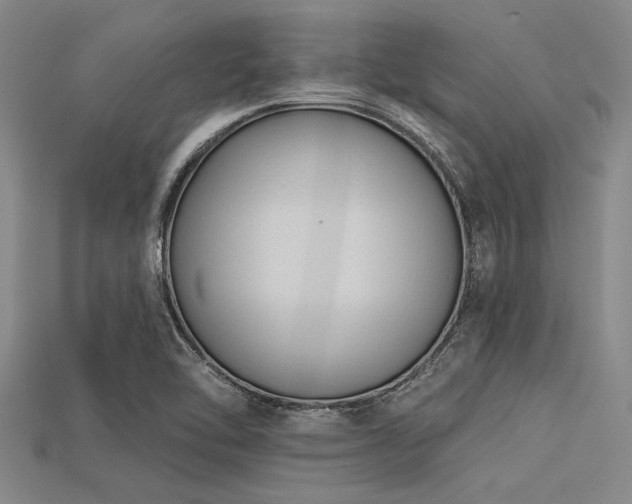 X0000113321462200909141345
