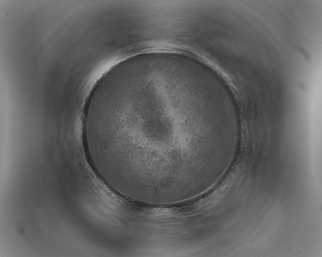 X0000113321463200909141345
